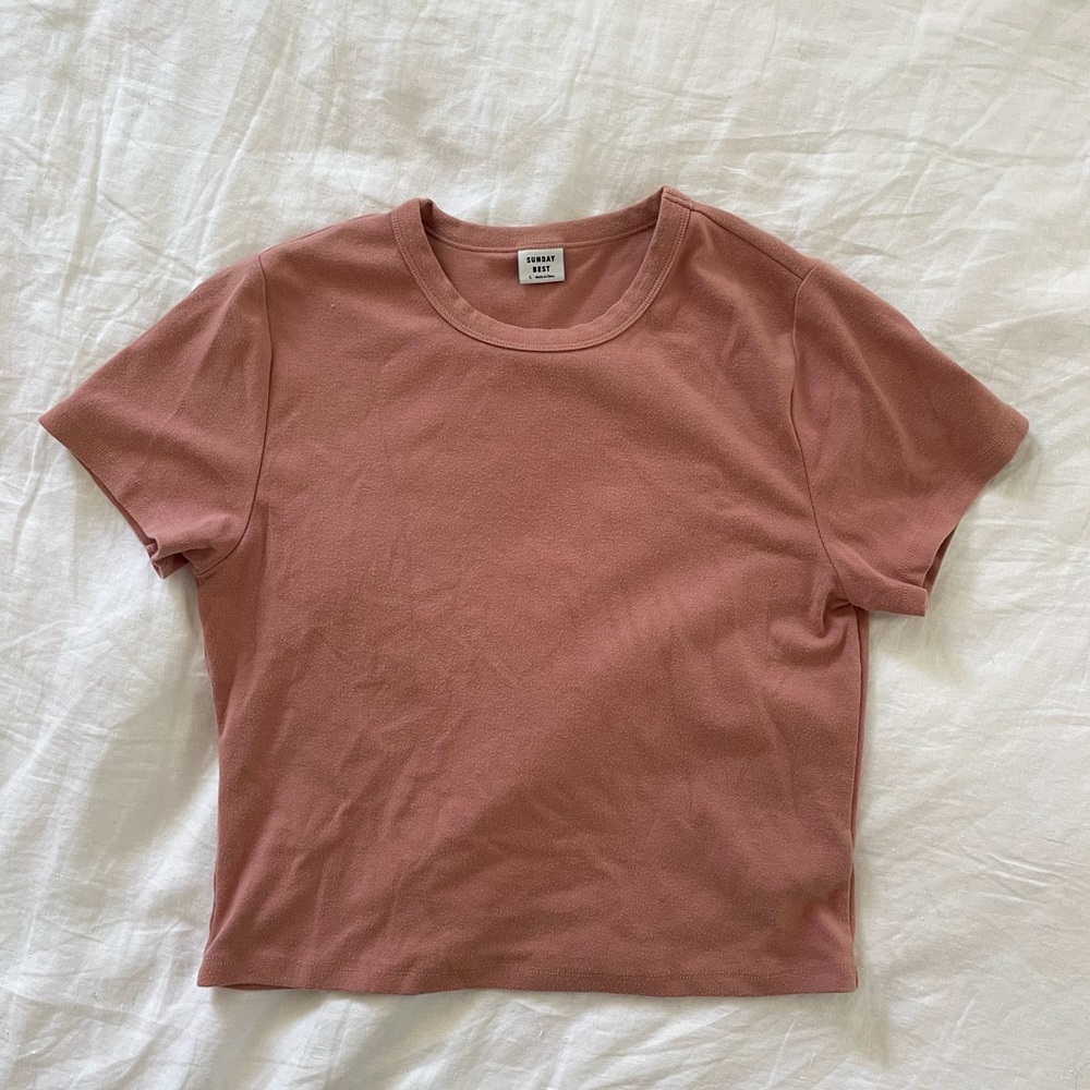 ARITZIA Sunday Best little ribber t-shirt size L EUC
